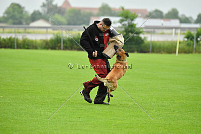 Danny von den Mecklenburger Rüpeln