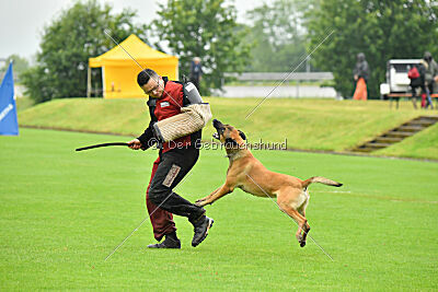 Danny von den Mecklenburger Rüpeln