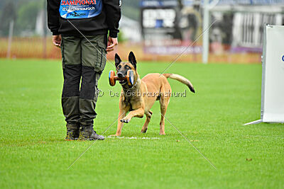 Danny von den Mecklenburger Rüpeln