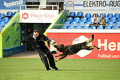 Darik vom Kaiserhaus