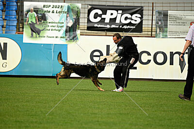 Darik vom Kaiserhaus