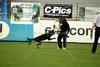 Darik vom Kaiserhaus