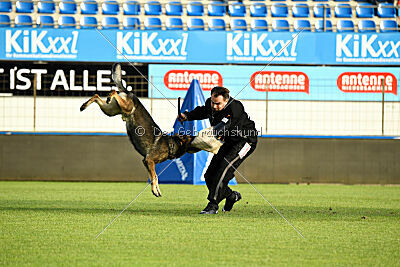 Dark vom Haus Pixner