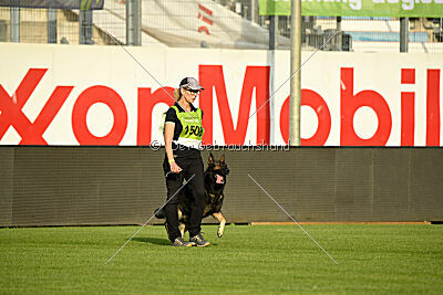 Dark vom Haus Pixner