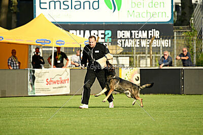 Dark vom Haus Pixner