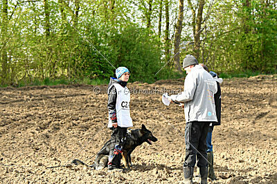 Darka King Adventure