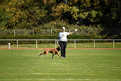 Darragh vom Hirscher-Hof