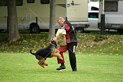 Dasko vom Köppenbusch