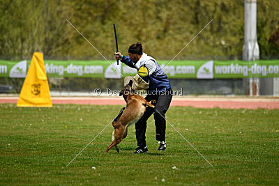 Davinia vom Wein Berg Land