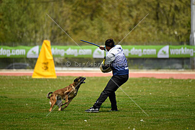 Davinia vom Wein Berg Land