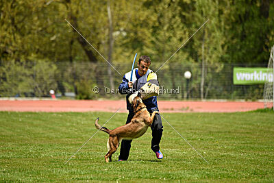 Davinia vom Wein Berg Land