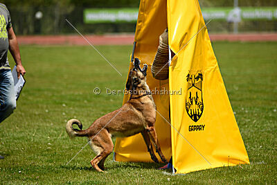 Davinia vom Wein Berg Land