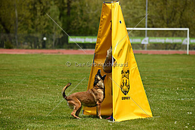 Davinia vom Wein Berg Land