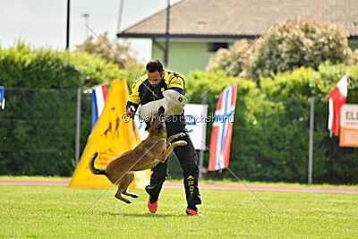 Davinia vom Weinbergland