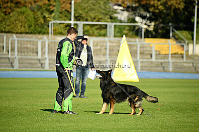 Decurio vom Jakobsfeld