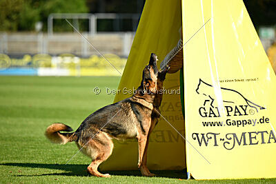 Deifl vom Stadelner Kreuz