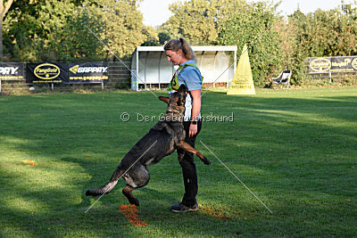 Denaika vom Drachenwolf