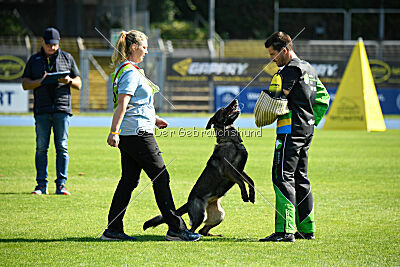 Denaika vom Drachenwolf