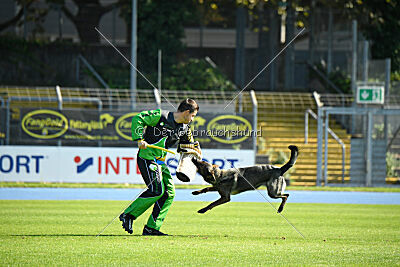 Denaika vom Drachenwolf