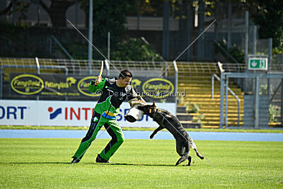 Denaika vom Drachenwolf