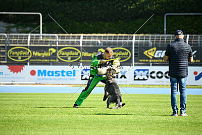 Denaika vom Drachenwolf