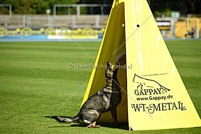 Denaika vom Drachenwolf