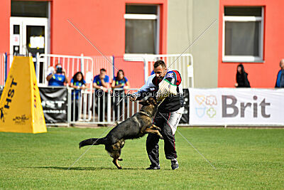 Denzel del Camino Duro