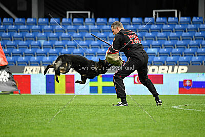 Denzel del Camino Duro