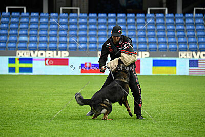 Denzel del Camino Duro