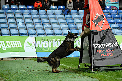 Denzel del Camino Duro