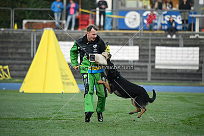 Derek vom Haus Taurus