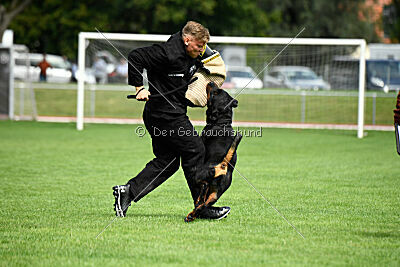 Desert vom Illergries