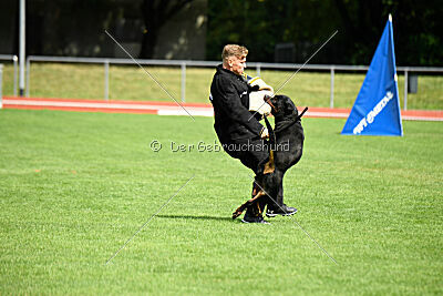 Desert vom Illergries