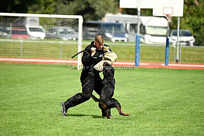 Desert vom Illergries