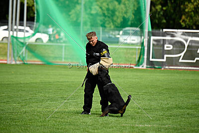 Desert vom Illergries