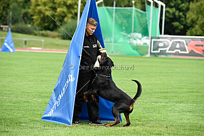 Desert vom Illergries