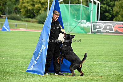 Desert vom Illergries