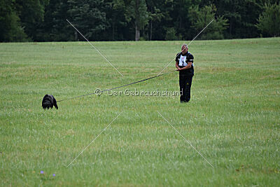 Desert vom Illergries