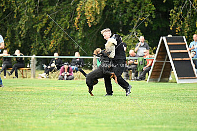 Desert vom Illergries