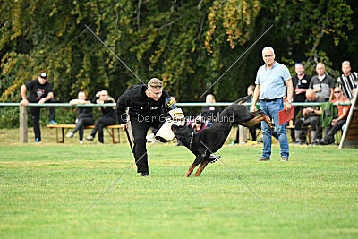 Desert vom Illergries