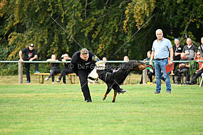 Desert vom Illergries