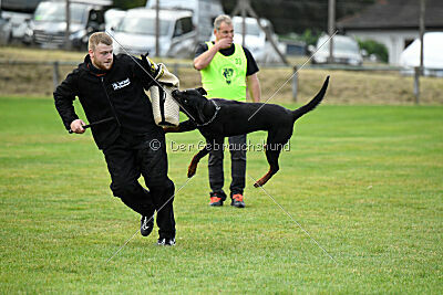 Desert vom Illergries