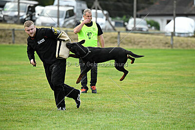 Desert vom Illergries