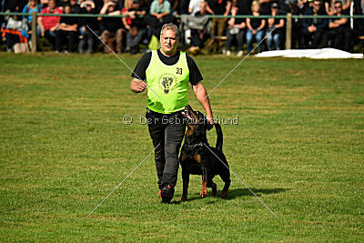 Desert vom Illergries