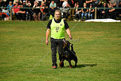 Desert vom Illergries