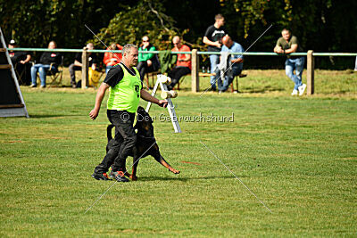 Desert vom Illergries