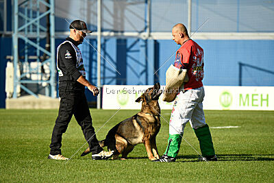 Dewil Moravia Kerberos