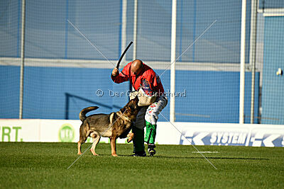 Dewil Moravia Kerberos