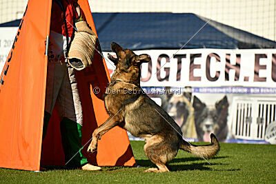 Dewil Moravia Kerberos