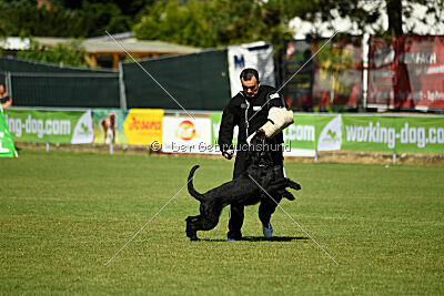 Dexx-Daemon vom Hatzbachtal